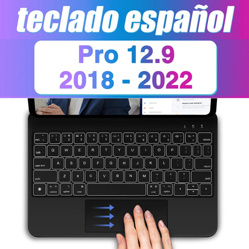 48626904138038|48626904170806|48626904203574